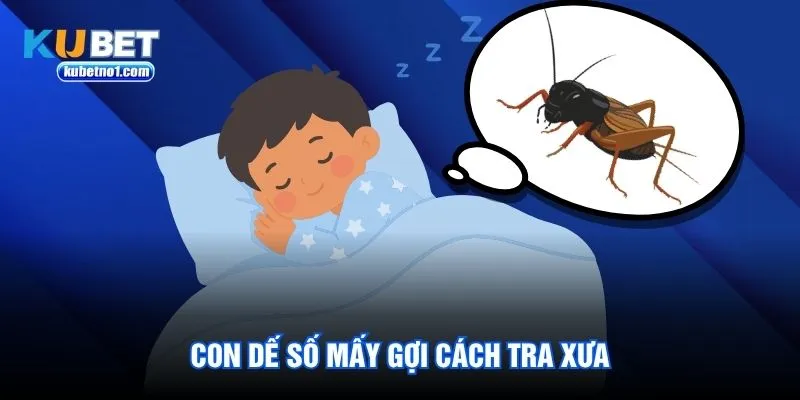 Con dế số mấy gợi cách tra xưa