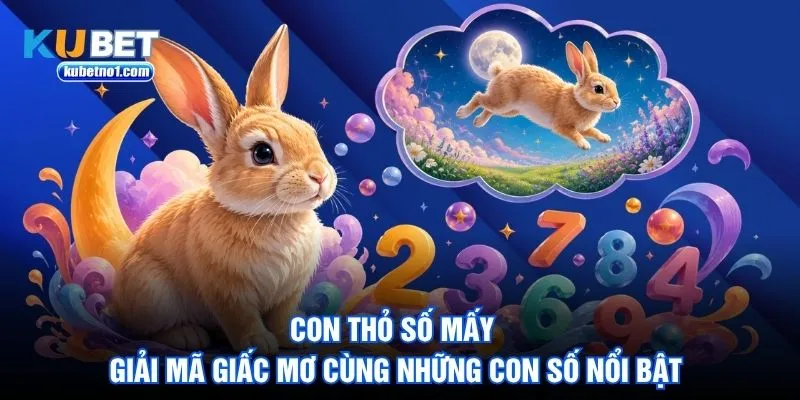 Con Thỏ Số Mấy – Giải Mã Giấc Mơ Cùng Những Con Số Nổi Bật