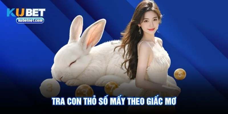 Tra con thỏ số mấy theo giấc mơ Tra con thỏ số mấy theo giấc mơ